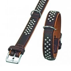 Karlie Rondo Halsband Mit Rundkopfnieten - Braun