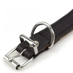 Karlie Rondo Windhund-Halsband - Schwarz -FLEXI Verkäufe 02614 1