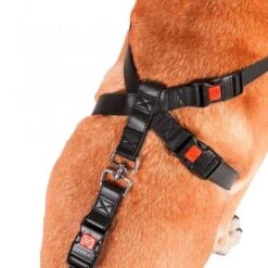 Karlie Flamingo Auto-Sicherheitsgeschirr Kunstleder -FLEXI Verkäufe 1031147 var 2