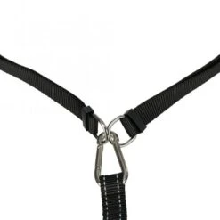 Trixie Bauchgurt Mit Leine Für Mittelgroße Und Große Hunde -FLEXI Verkäufe 12766 4