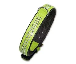 Karlie VINTAGE TIFFANY Halsband - Kiwi