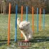 Trixie Agility Slalom -FLEXI Verkäufe 3206trxi z1