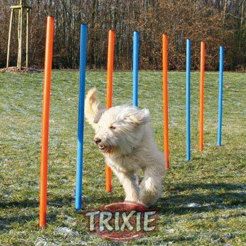 Trixie Agility Slalom 3 Trixie Agility Slalom