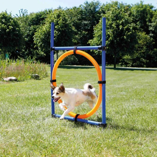 Trixie Agility Ring 4 Trixie Agility Ring – Bild 2