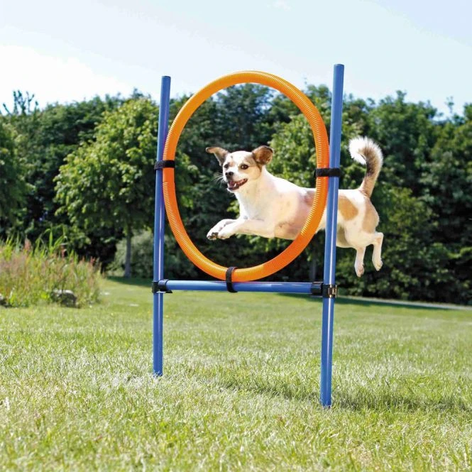 Trixie Agility Ring 3 Trixie Agility Ring