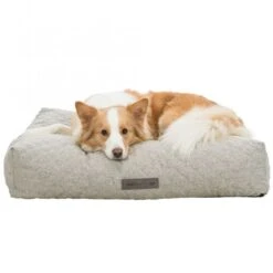 Trixie Vital Kissen Noah - Hellgrau 13 Trixie Vital Kissen Noah - Hellgrau -FLEXI Verkäufe 36515 5