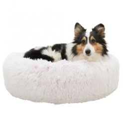 Trixie Bett Harvey - Rund