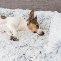 Trixie Polster-Schondecke Harvey 13 Trixie Polster-Schondecke Harvey -FLEXI Verkäufe 38045 31