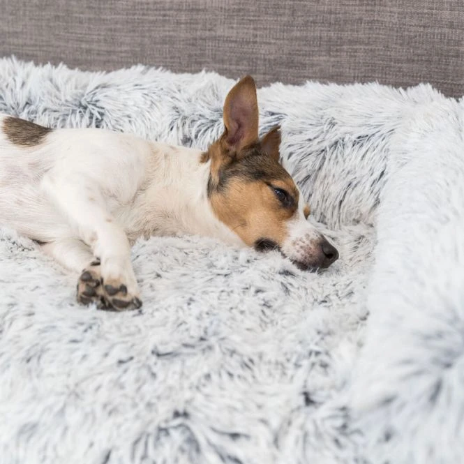 Trixie Polster-Schondecke Harvey 6 Trixie Polster-Schondecke Harvey – Bild 4