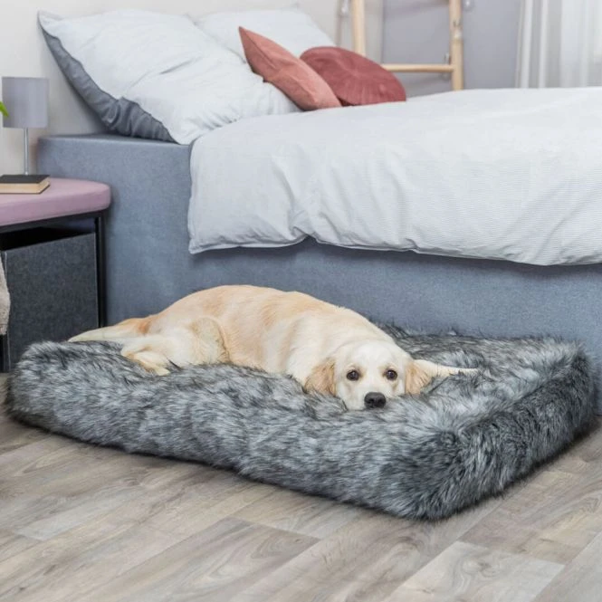 Trixie Kissen Yelina 13 Trixie Kissen Yelina – Bild 11