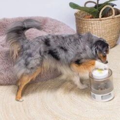 Beeztees Brain Game Delicious 24 Beeztees Brain Game Delicious -FLEXI Verkäufe 619047 10