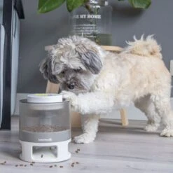 Beeztees Brain Game Delicious 25 Beeztees Brain Game Delicious -FLEXI Verkäufe 619047 11