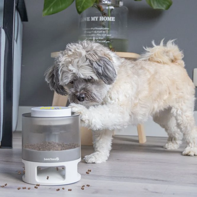 Beeztees Brain Game Delicious 14 Beeztees Brain Game Delicious – Bild 12