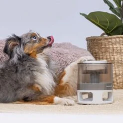 Beeztees Brain Game Delicious 23 Beeztees Brain Game Delicious -FLEXI Verkäufe 619047 9