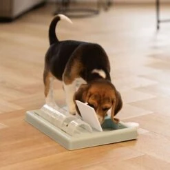 Beeztees Puppy Intelligenzspielzeug Riff -FLEXI Verkäufe 619900 2