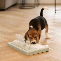 Beeztees Puppy Intelligenzspielzeug Riff -FLEXI Verkäufe 619900 3