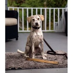 DGS Dirty Dog Cushion Hundematte 7 DGS Dirty Dog Cushion Hundematte -FLEXI Verkäufe 707360 2