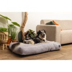 Beeztees Minus One Liegekissen Don -FLEXI Verkäufe 716140 1