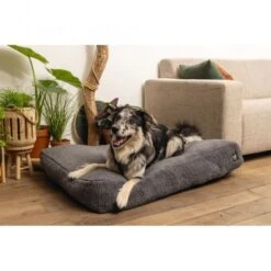 Beeztees Minus One Liegekissen Don -FLEXI Verkäufe 716142 2