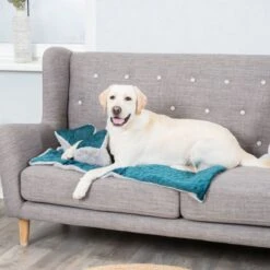 Trixie Decke Estelle - Grün/grau -FLEXI Verkäufe 92722 4