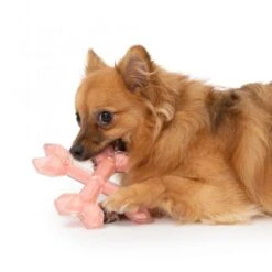 Zeus Duo Gekreuzte Knochen Mit Hühnchenduft 11 Zeus Duo Gekreuzte Knochen Mit Hühnchenduft -FLEXI Verkäufe 96275 hag 4