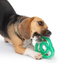 Zeus Duo Ninja-Stern Mit Minzduft -FLEXI Verkäufe 96277 hag 4