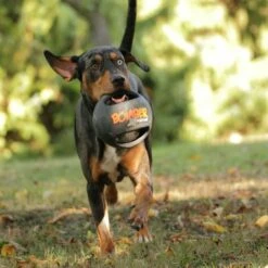 Bomber Xtreme By Zeus -FLEXI Verkäufe bomberhund1