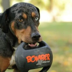 Bomber Xtreme By Zeus -FLEXI Verkäufe bomberhund2