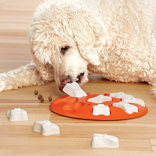 Nina Ottosson Dog Smart Aus Kunststoff 6 Nina Ottosson Dog Smart Aus Kunststoff – Bild 4