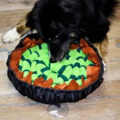 Procyon Donut Schnüffelmatte -FLEXI Verkäufe donut 2