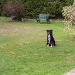 PROCYON Profi Obedience Set -FLEXI Verkäufe dsc0215