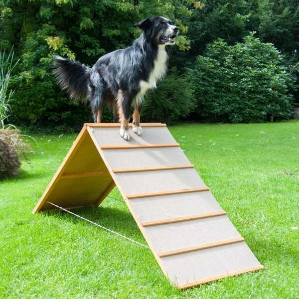 Dog Agility A-Wand 3 Dog Agility A-Wand