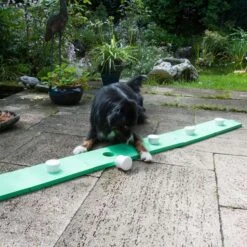 Schnüffelspaß Für Supernasen - Grün -FLEXI Verkäufe dsc6286