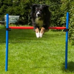 Dog Agility Set K2 -FLEXI Verkäufe dsc6347