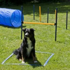 Dog Agility Set M -FLEXI Verkäufe dsc7416 1 z5