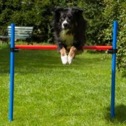 Dog Agility Set K2 PRO -FLEXI Verkäufe k2pro 3