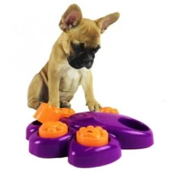 Mini Paw Hide Puzzle - Interaktives Hundespielzeug