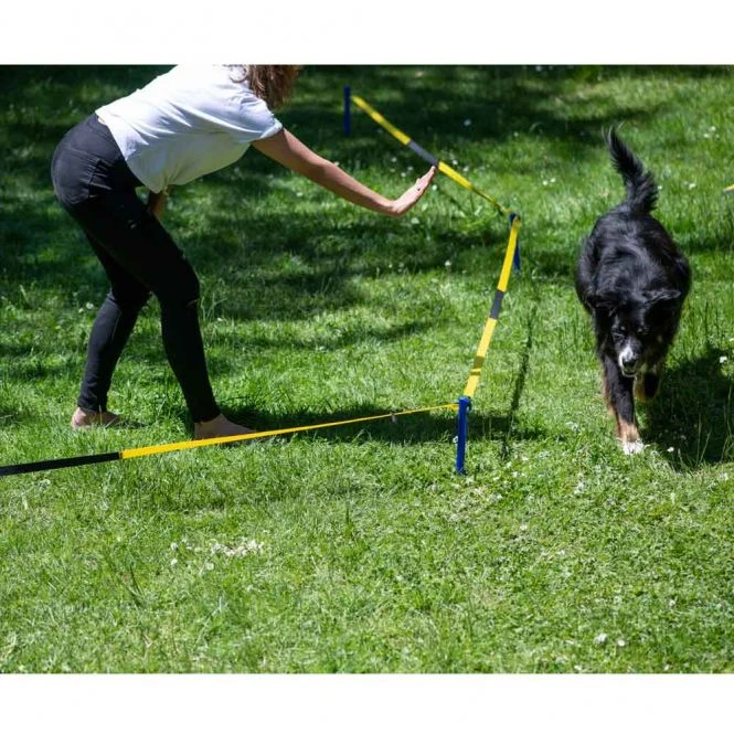 PROCYON Longier-Set Für Hunde 4 PROCYON Longier-Set Für Hunde – Bild 2