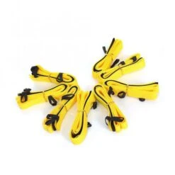 PROCYON Longier-Set Für Hunde 9 PROCYON Longier-Set Für Hunde -FLEXI Verkäufe longierset 2