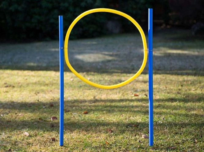 Dog Agility Trainings-Set 1 Für Einsteiger 4 Dog Agility Trainings-Set 1 Für Einsteiger – Bild 2