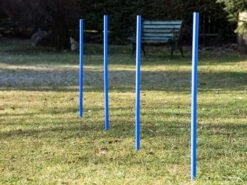 Dog Agility Trainings-Set 1 Für Einsteiger 8 Dog Agility Trainings-Set 1 Für Einsteiger -FLEXI Verkäufe ps 90334 2
