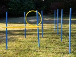 Dog Agility Trainings-Set 1 Für Einsteiger