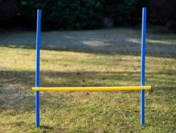 Dog Agility Trainings-Set 1 Für Einsteiger 9 Dog Agility Trainings-Set 1 Für Einsteiger -FLEXI Verkäufe ps 90334 3