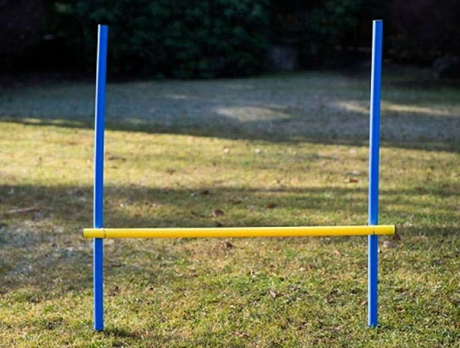 Dog Agility Trainings-Set 1 Für Einsteiger 6 Dog Agility Trainings-Set 1 Für Einsteiger – Bild 4