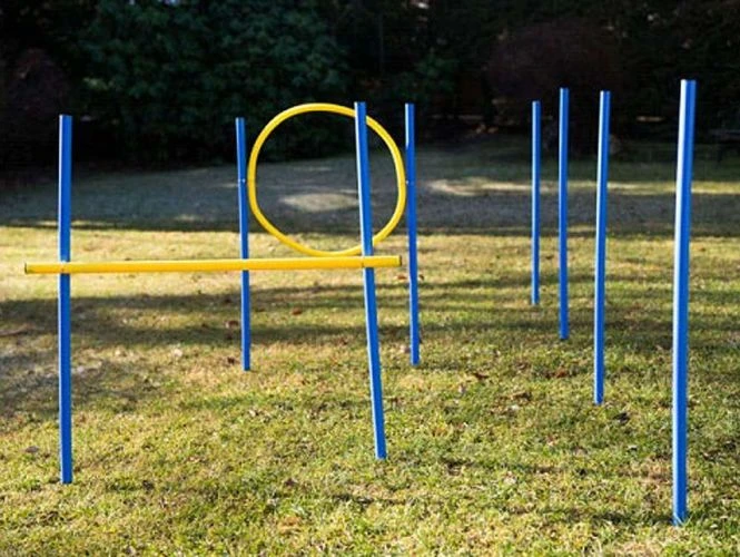 Dog Agility Trainings-Set 1 Für Einsteiger 3 Dog Agility Trainings-Set 1 Für Einsteiger