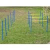 Dog Agility Trainings-Set 2 Für Einsteiger -FLEXI Verkäufe ps 90340