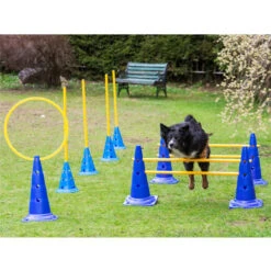 Dog Agility 3er Set Pylonen-Hürden (30cm) + Sprungring 9 Dog Agility 3er Set Pylonen-Hürden (30cm) + Sprungring -FLEXI Verkäufe ps 90341 4 1