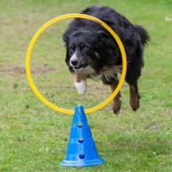 Dog Agility 3er Set Pylonen-Hürden (30cm) + Sprungring 8 Dog Agility 3er Set Pylonen-Hürden (30cm) + Sprungring -FLEXI Verkäufe ps 90341 var 1