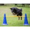 Dog Agility 3er Set Pylonen-Hürden (50cm) + Sprungring -FLEXI Verkäufe ps 90341 var 2