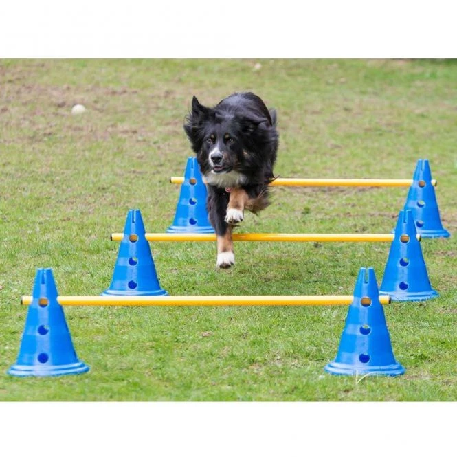 Dog Agility 3er Set Pylonen-Hürden (30cm) + Sprungring 3 Dog Agility 3er Set Pylonen-Hürden (30cm) + Sprungring